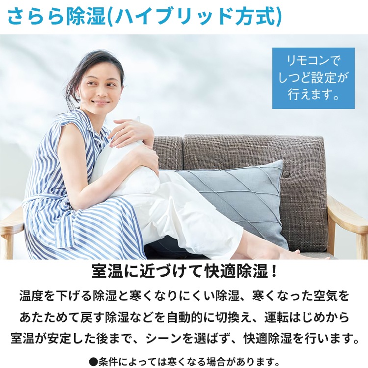 エアコン おもに6畳 GXシリーズ 2024年モデル ストリーマ空気清浄 さらら除湿 耐塩害 耐重塩害 単相100V S224ATGS-WE2