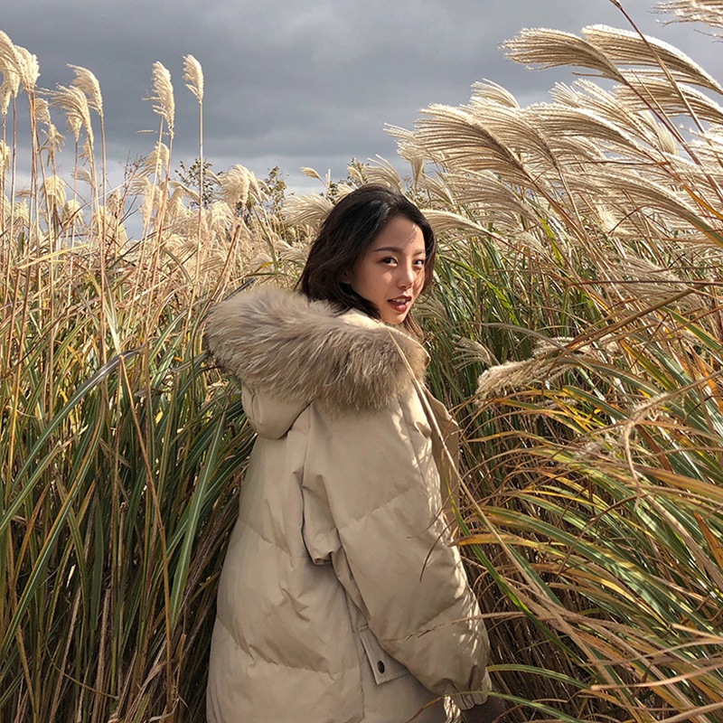 アウター フーディー コート ブルゾン ジャケット シャンパー 韓国ファッション 上着 ダウンコート