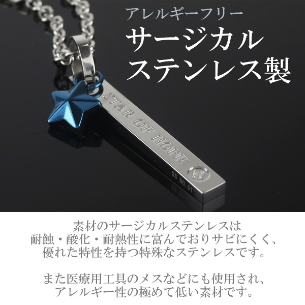 fe-fe ブルースター ダイヤモンド ステンレス ネックレス サージカルステンレス fe-fe ブルースター ダイヤモンド ステンレス ネックレス サージカルステンレス