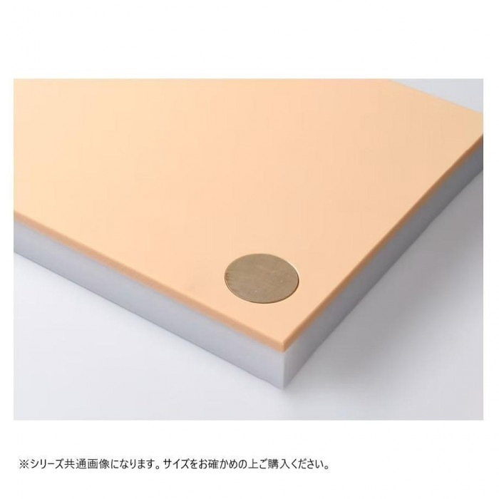 山県化学(ヤマケン) 鮮魚用 まな板 1号(550×270mm) 山県化学(ヤマケン) 鮮魚用 まな板 1号(550×270mm)