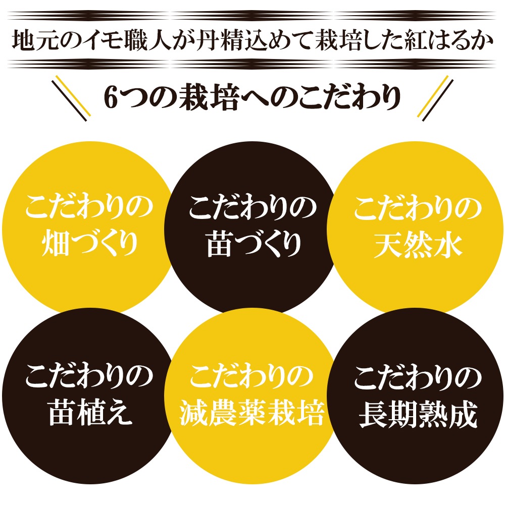 【クーポン利用でお得に購入】焼き芋 さつまいも 紅はるか 4kg サツマイモ 冷凍焼き芋 焼きいも 産地直送 薩摩芋 石焼き芋 芋 いも イモ 鹿児島県産 FJK-005