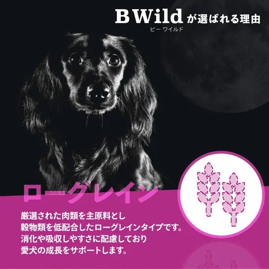 ドッグフード BWild イノシシ ローグレイン 3kg 成犬用 ペットフード ドッグフード BWild イノシシ ローグレイン 3kg 成犬用 ペットフード