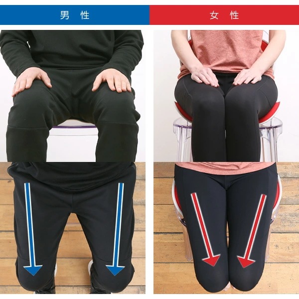 骨盤 サポート チェア 大人用 クッション シンプル マイコンフィ MYCOMFY 骨盤 サポート チェア 大人用 クッション シンプル マイコンフィ MYCOMFY