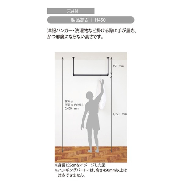 30017004 ハンギングバー H1 天井付 Cタイプセット ブラック 約W1780mmxH450mm