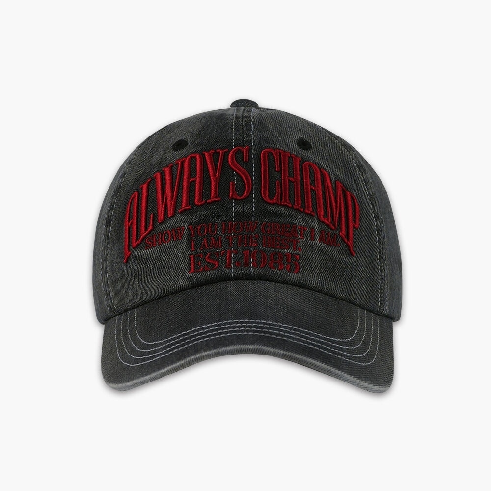 HDEX CHAMP デニムボールキャップ (ブラック)