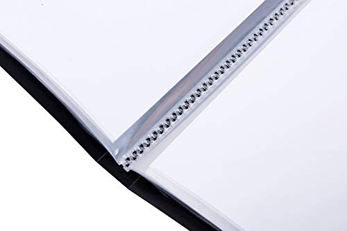 グリーンウィーク B2 ポスター ファイル 収納20枚(中紙収納ケース付)GWB2F-20 グリーンウィーク B2 ポスター ファイル 収納20枚(中紙収納ケース付)GWB2F-20