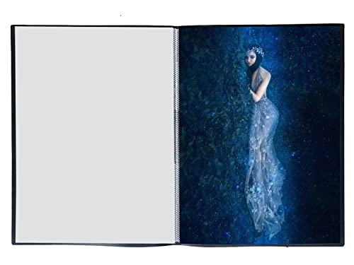 グリーンウィーク B2 ポスター ファイル 収納20枚(中紙収納ケース付)GWB2F-20 グリーンウィーク B2 ポスター ファイル 収納20枚(中紙収納ケース付)GWB2F-20