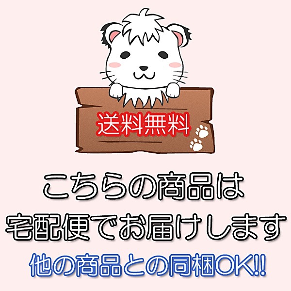 婦人 さわやか 安心パンツ 60cc対応 女性用 さわやかパンツ 5枚セット 3L 大きいサイズ