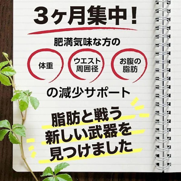 Qoo10] 【まとめ売り】シボヘルシ 体重 お腹の脂