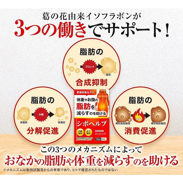 Qoo10] 【まとめ売り】シボヘルシ 体重 お腹の脂