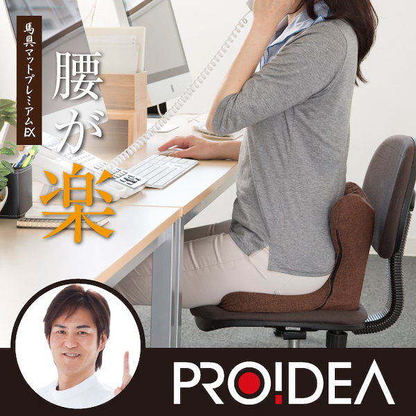 PROIDEA プロイデア 馬具マットプレミアムEX - 座椅子