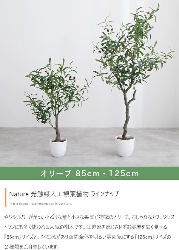 送料無料】観葉植物 光触媒 高さ125cm 人工 オリーブ リアル フェイク