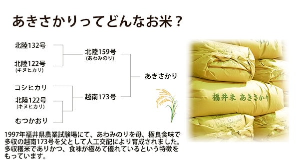 数量限定！有機肥料使用米 20kg 大分県産 あきさかり Goddess様専用 新米 あきさかり 玄米20キロ