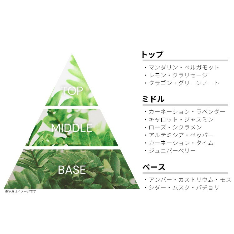 チェルッティ 1881 プールオム EDT SP 50ml チェルッティ 1881 プールオム EDT SP 50ml