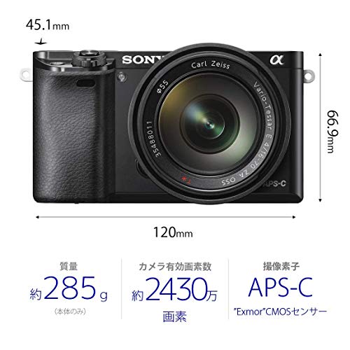 ソニー α6000 ダブ : カメラ : ソニー ミラーレス一眼 限定30%OFF