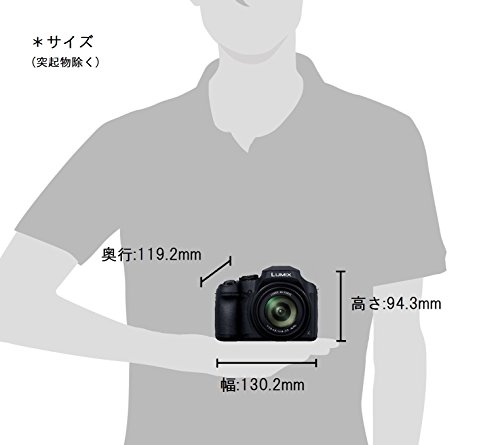 新着商品 パナソニック ルミックス... : カメラ デジタルカメラ 国産HOT