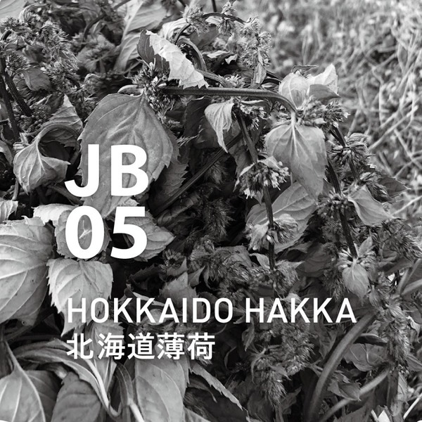 アットアロマ エッセンシャルオイル2本セット JB05 北海道薄荷 10ml