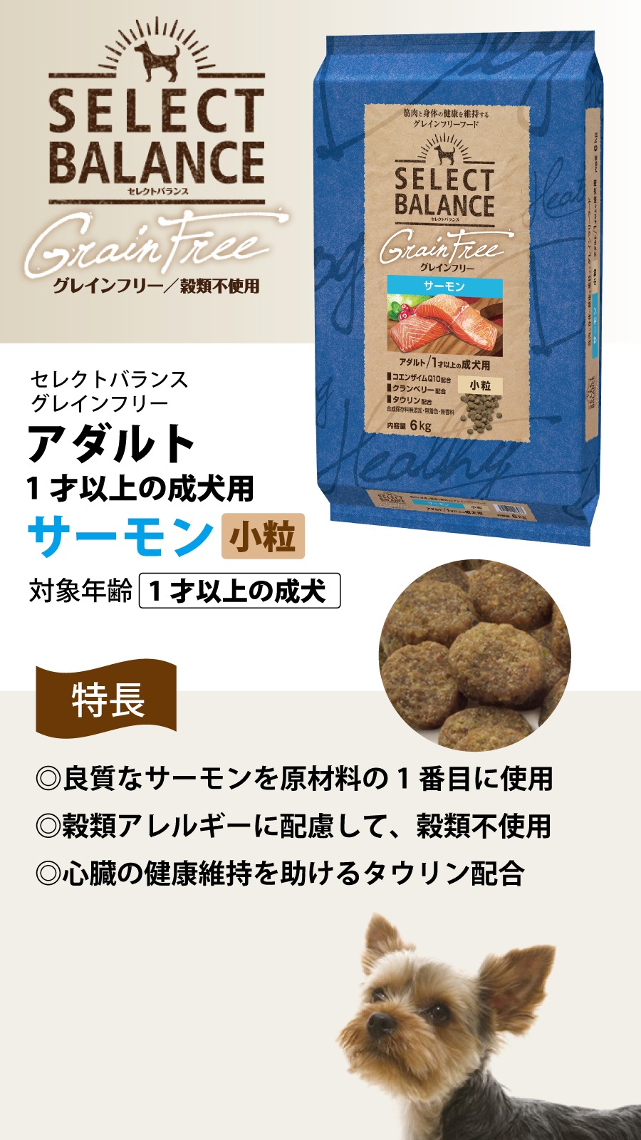 グレインフリー アダルト サーモン 小粒 6kg【国産鹿ラング15g付き】 グレインフリー アダルト サーモン 小粒 6kg【国産鹿ラング15g付き】