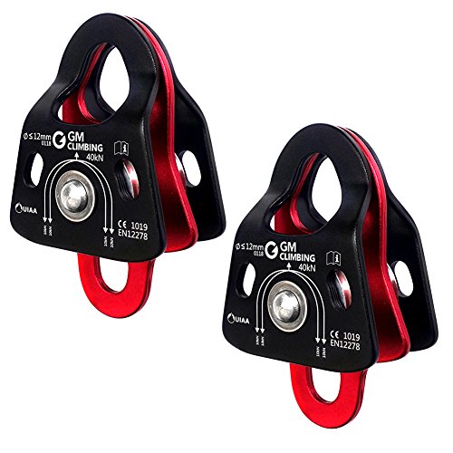 色：2個セット GM CLIMBING 40kN マイクロダブルプーリー CE UIAA認証 ボール