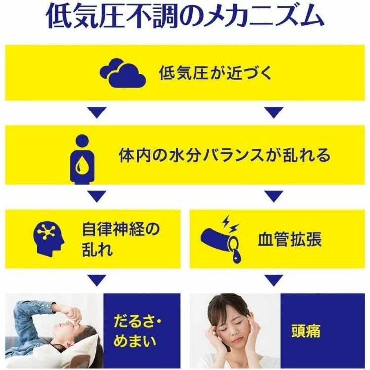 第2類医薬品 5個セット 小林製薬 テイラック 48錠 漢方薬 第2類医薬品 5個セット 小林製薬 テイラック 48錠 漢方薬