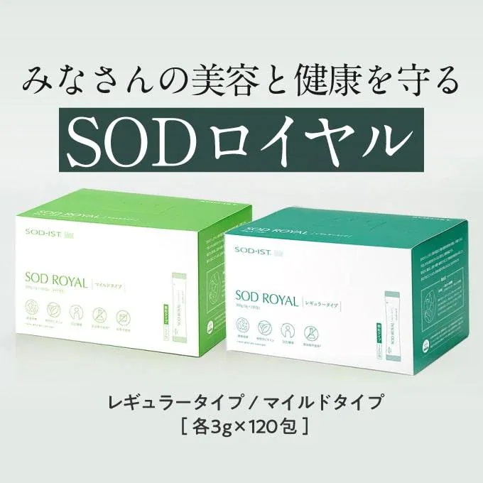 丹羽 SODロイヤル レギュラータイプ 3g×120包 2箱 丹羽 SODロイヤル レギュラータイプ 3g×120包 2箱