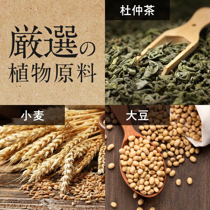 丹羽 SODロイヤル レギュラータイプ 3g×120包 2箱 丹羽 SODロイヤル レギュラータイプ 3g×120包 2箱