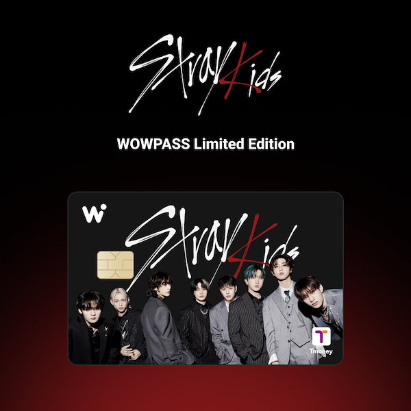 Stray Kids - straykids wowpass コンプ(8人+グループ)計9枚 sddefault.jpg