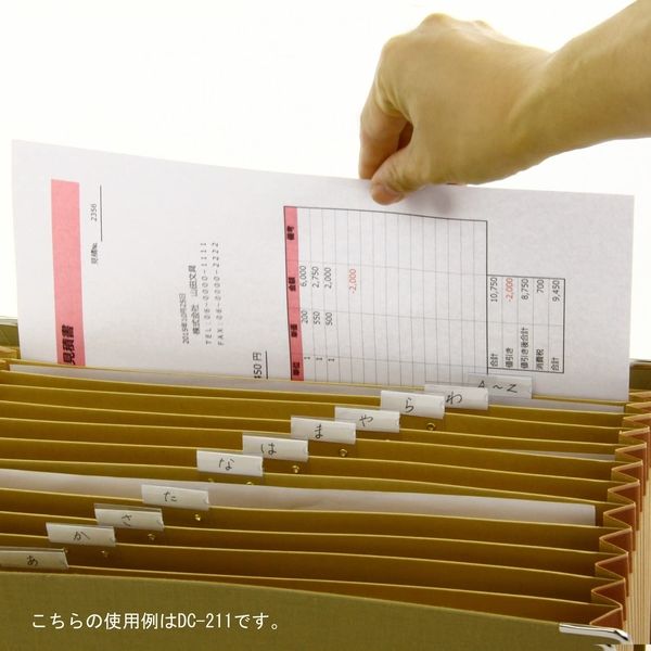 ライオン事務器 ドキュメントファイル A4 12ポケット DC-211 156-01