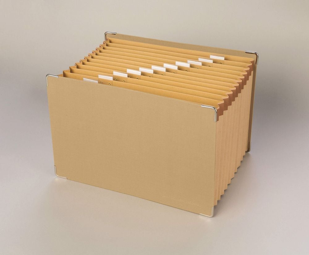 ライオン事務器 ドキュメントファイル A4 12ポケット DC-211 156-01