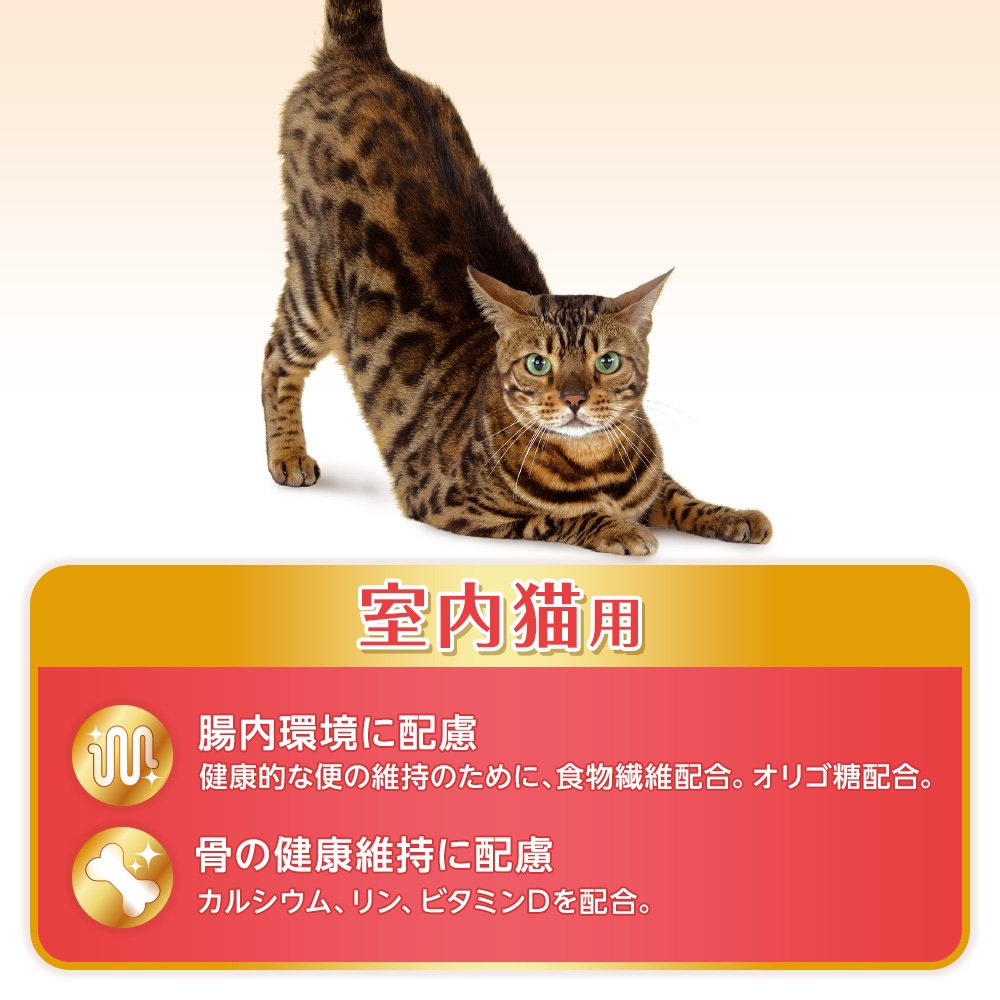 キャットフード オールウェル 室内猫用 贅沢素材入り フィッシュ味 天然小魚とささみフリーズドライ入り 1.5kgX5 猫 CRC35―15―88―40―00 キャットフード オールウェル 室内猫用 贅沢素材入り フィッシュ味 天然小魚とささみフリーズドライ入り 1.5kgX5 猫 CRC35―15―88―40―00