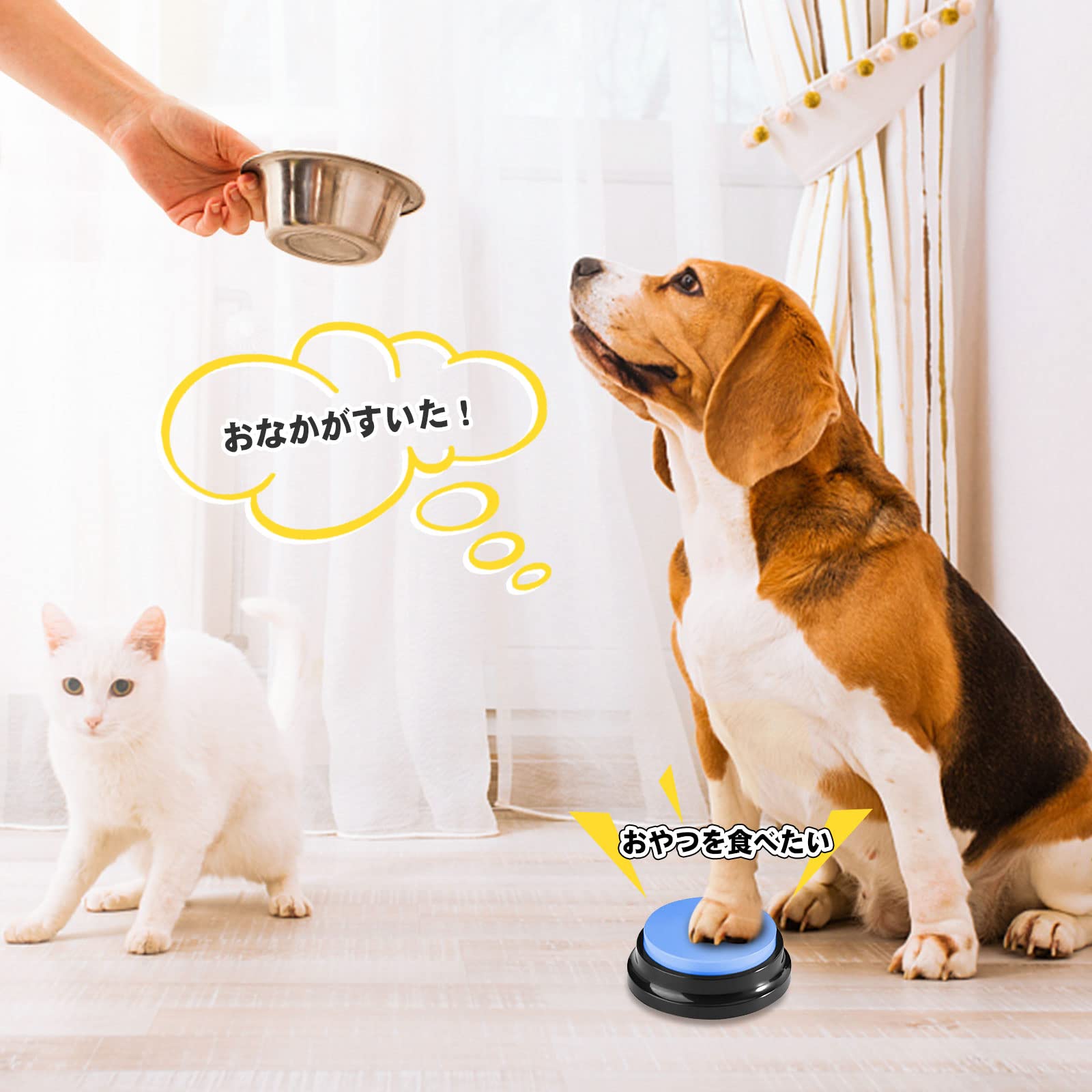 HIMOMO 犬会話ボタン 音声記録可能 30秒の録音 6個セット ペット ボタン 会話 犬 ボタン 会話 会話ボタン 犬 日本語説明書付き親子の交流に適しており の猫や犬に適しています HIMOMO 犬会話ボタン 音声記録可能 30秒の録音 6個セット ペット ボタン 会話 犬 ボタン 会話 会話ボタン 犬 日本語説明書付き親子の交流に適しており の猫や犬に適しています