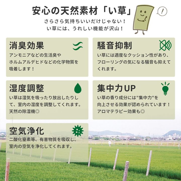 い草カーペット 撥水 フリーカット 本間 2畳 191x191cm みすず フローリング 畳の上敷き 双目織 防カビ 裏貼り付き 補修テープ無し い草カーペット 撥水 フリーカット 本間 2畳 191x191cm みすず フローリング 畳の上敷き 双目織 防カビ 裏貼り付き 補修テープ無し