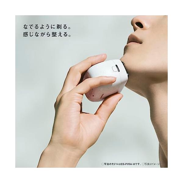 Panasonic メンズシェーバー ES-PV3A-K 替え刃 洗浄剤セット es-pv3a