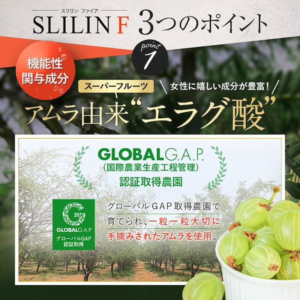 新品未使用　SLILIN Fダイエットサプリ 90粒入り 3袋セット 新品未使用 SLILIN Fダイエットサプリ 90粒入り 3袋セット