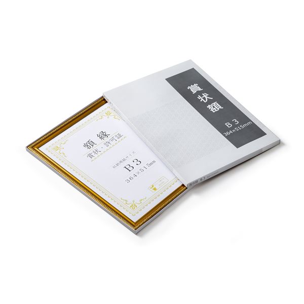 樹脂製 金色賞状額 金消‐R 箱入 B3 収納寸法:364x515mm 樹脂製 金色賞状額 金消‐R 箱入 B3 収納寸法:364x515mm