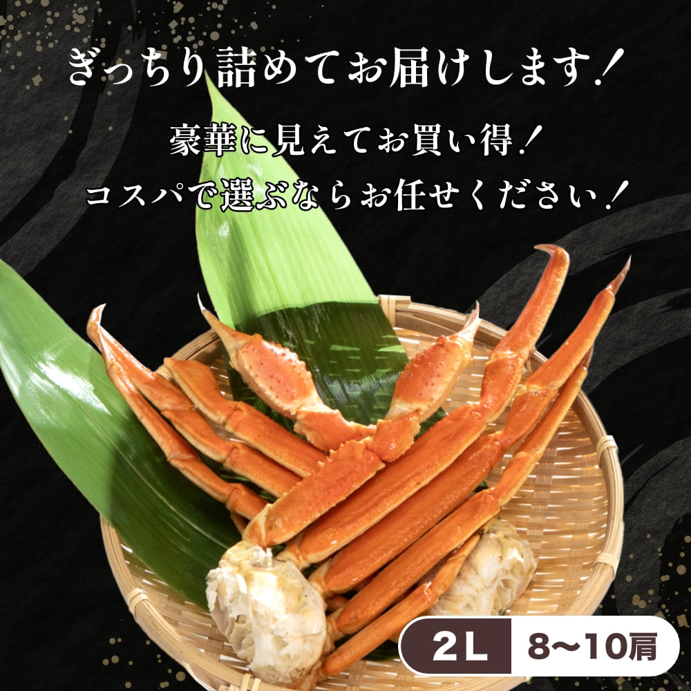 ボイルズワイ化粧箱 2kg入(8～10肩) 2Lお歳暮 年末 蟹 かに 海鮮 大容量 特大 蟹鍋 かに鍋 蟹しゃぶ ボリューム