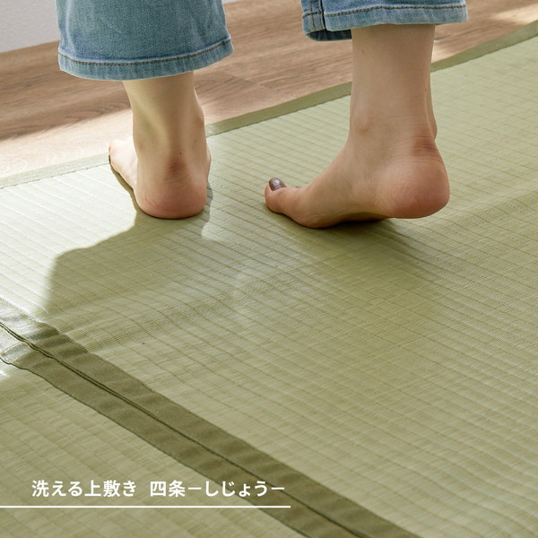 PP上敷 四条（しじょう） 江戸間8帖（約352x352cm）