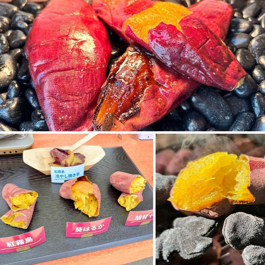 【単品】業務用 焼き芋機 壺いらず ステンレス軽量 副業スターターキット 蜜焼き芋マニュアル付・1年保証・特許技術