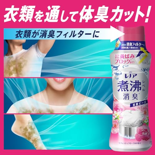 レノア 超消臭 煮沸レベル消臭 抗菌ビーズ リフレッシュフローラル 本体 特大 720mL レノア 超消臭 煮沸レベル消臭 抗菌ビーズ リフレッシュフローラル 本体 特大 720mL