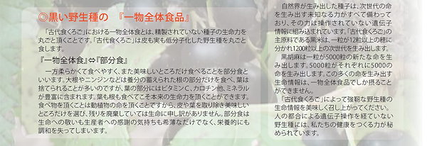 Qoo10] 古代食くろご 800g 1袋 黒い野生種