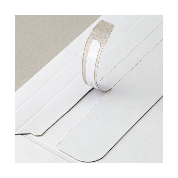 （まとめ） TANOSEE ビジネス封筒 角2 330240mm 310g／m2 1セット（100枚：25枚4パック） 2セット