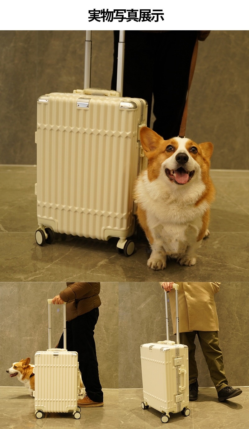 スーツケース Mサイズ 24インチ USBポート付 カップホルダー 可愛い ダイヤル式ロック ダブルキャスター 静音 軽量 大容量 耐衝撃 おしゃれ 旅行かばん キャリーケース キャリーバッグ 修学旅 スーツケース Mサイズ 24インチ USBポート付 カップホルダー 可愛い ダイヤル式ロック ダブルキャスター 静音 軽量 大容量 耐衝撃 おしゃれ 旅行かばん キャリーケース キャリーバッグ 修学旅
