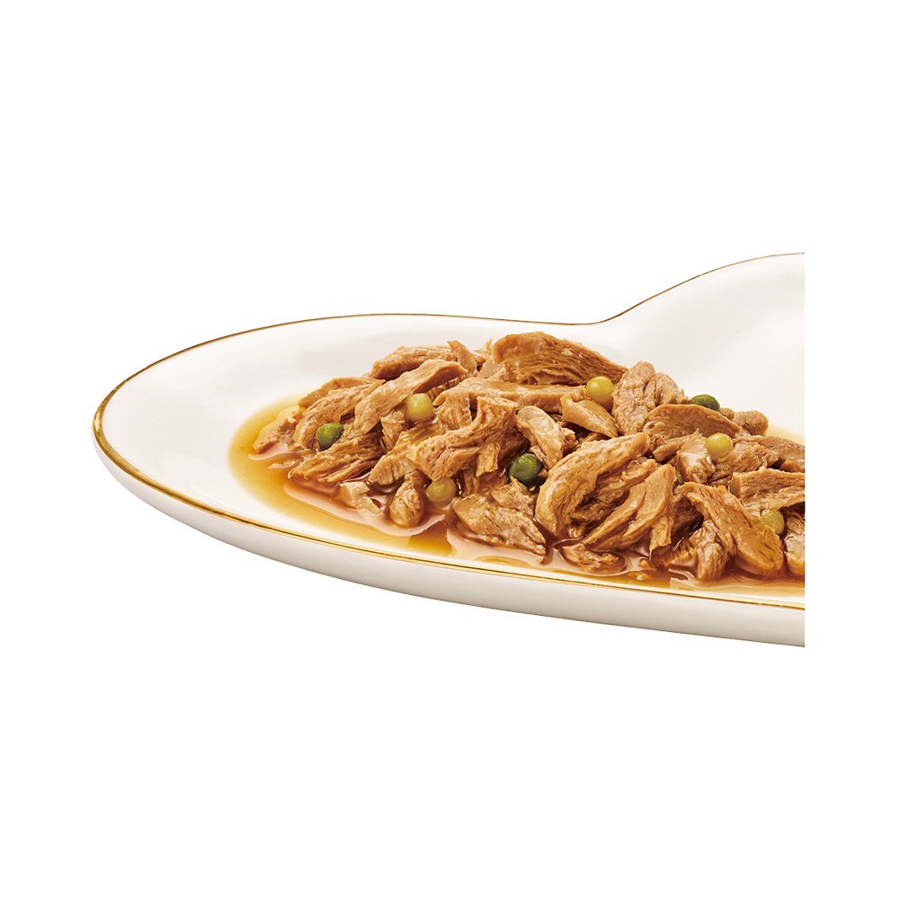 プチクラフト　チキン　野菜入りソース仕立て　４０ｇX４８　ＣＲＣ35―20―75―99―00 mdprevattcaulkingandwaterproofing.com