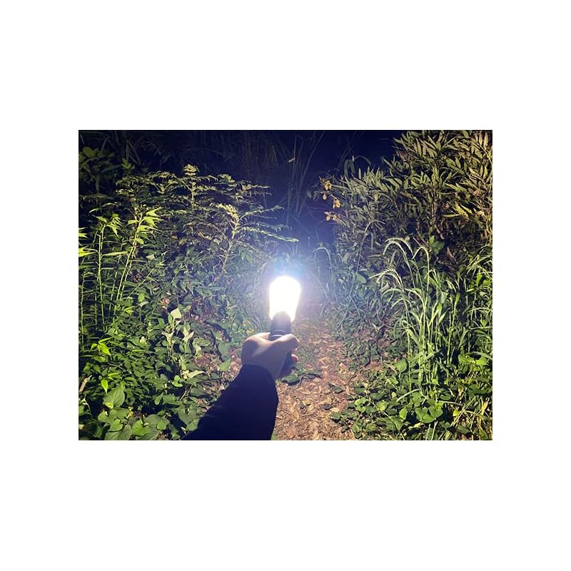 即納：ライティンゲイル LEDミニランタンBonfire【3400mAhバッテリー】