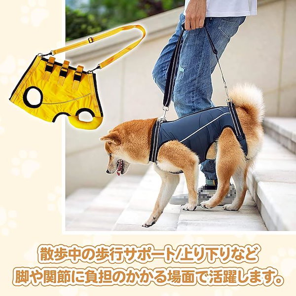 31ハーネス リードセット オレンジ S 犬 猫 ペット用 お散歩 - 犬用品