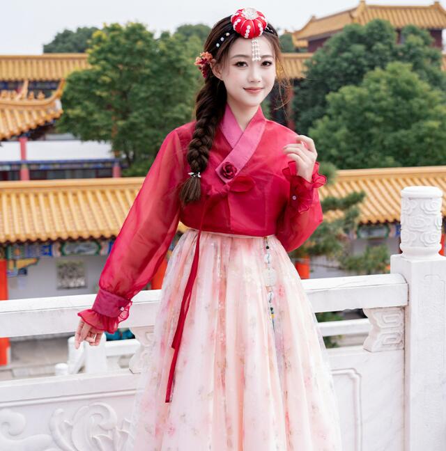 女性 春夏秋冬漢服ワンピース 2025新型高級韓服ドレス女性朝鮮服宮廷ドレス優雅ロングスカート ハイエンド韓服女性朝鮮服宮廷ドレスエレガントロングスカート 女性 春夏秋冬漢服ワンピース 2025新型高級韓服ドレス女性朝鮮服宮廷ドレス優雅ロングスカート ハイエンド韓服女性朝鮮服宮廷ドレスエレガントロングスカート