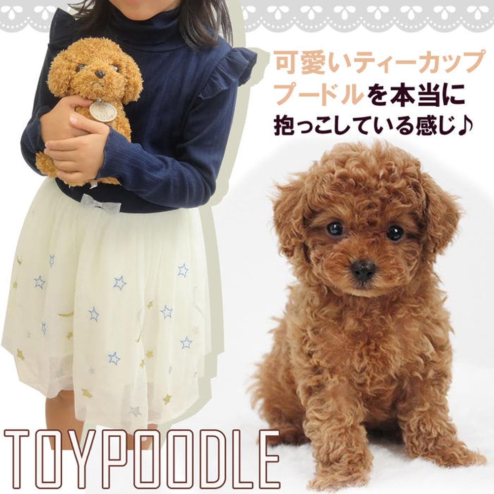 Qoo10] [送料無料トイプードルぬいぐるみ 犬 プ