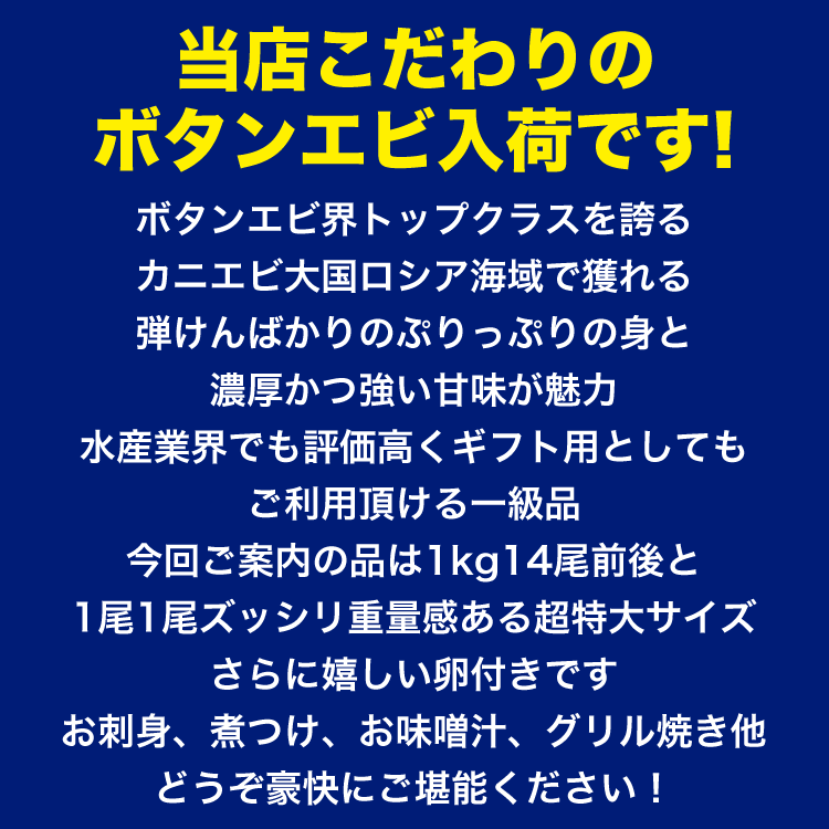 ボタンエビ 超 特大 1kg (14尾前後) 刺身 卵 子 持ち えび 海老 蝦 蛯 ぷりっと甘味ある新鮮急速凍結