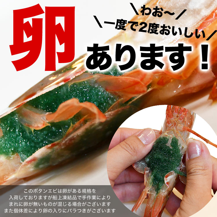 ボタンエビ 超 特大 1kg (14尾前後) 刺身 卵 子 持ち えび 海老 蝦 蛯 ぷりっと甘味ある新鮮急速凍結