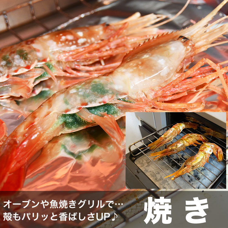 ボタンエビ 超 特大 1kg (14尾前後) 刺身 卵 子 持ち えび 海老 蝦 蛯 ぷりっと甘味ある新鮮急速凍結